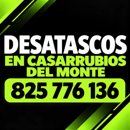 Desatascos en Casarrubios del Monte