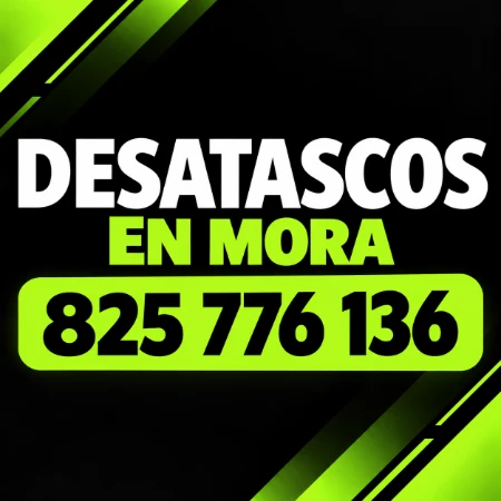 Desatascos en Mora
