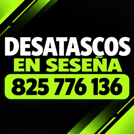 Desatascos en Seseña