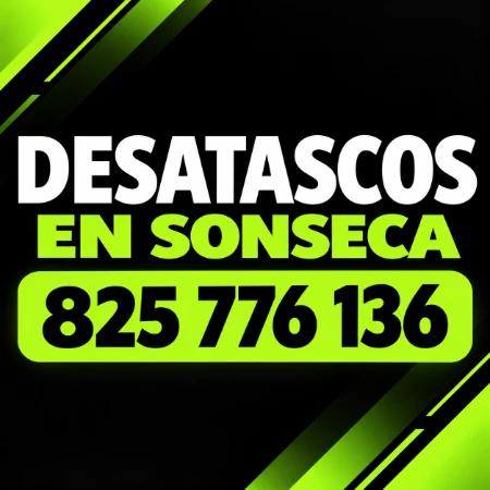 Desatascos en Sonseca