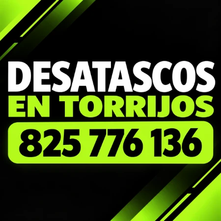 Desatascos en Torrijos